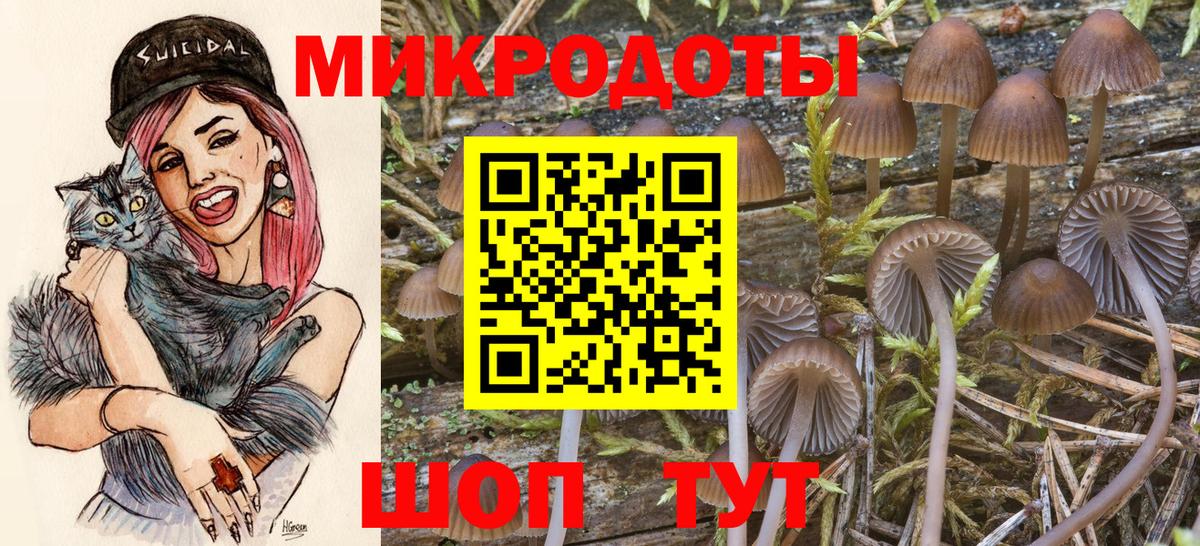 Железноводск  Галлюциногенные грибы GOLDEN TEACHER  Псилоцибиновые грибы ЛСД  Вход с VPN 